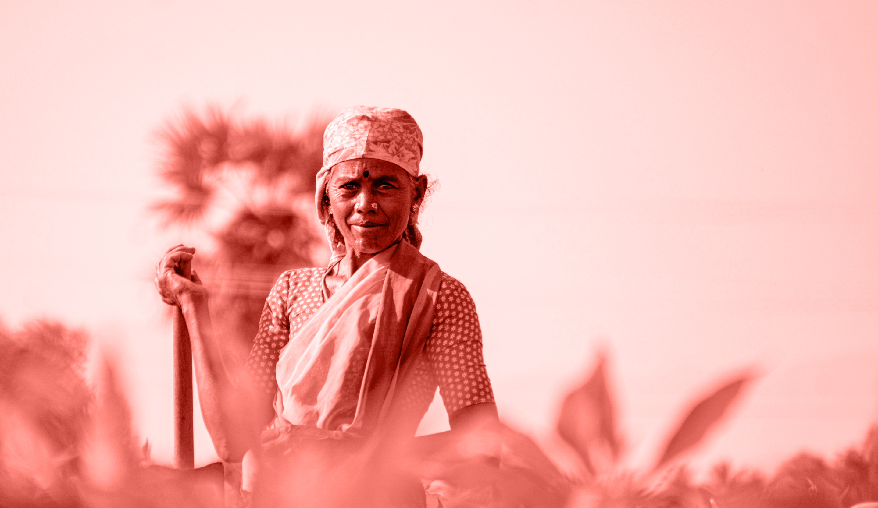 An Indian women farmer